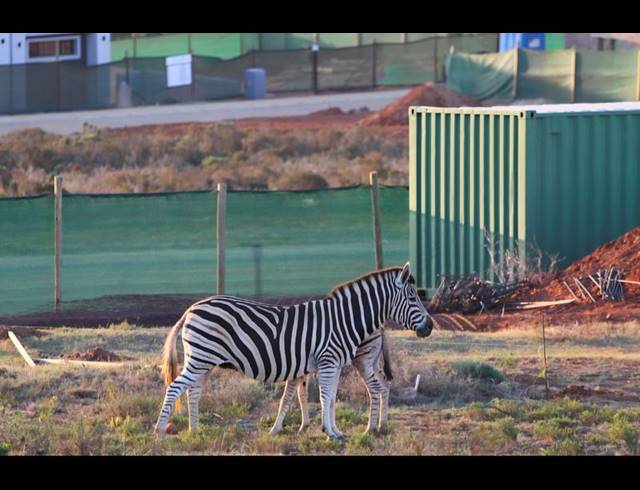 LAND FOR SALE IN OUTENIQUASBOSCH